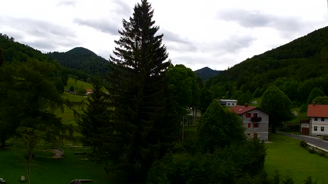 Webcam Lokve – The beauty of the Trnovo forest