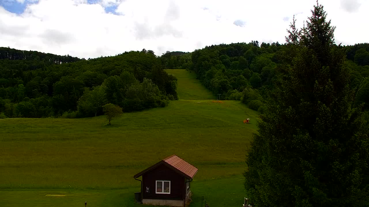 Webcam Lokve – La beauté de la forêt de Trnovo
