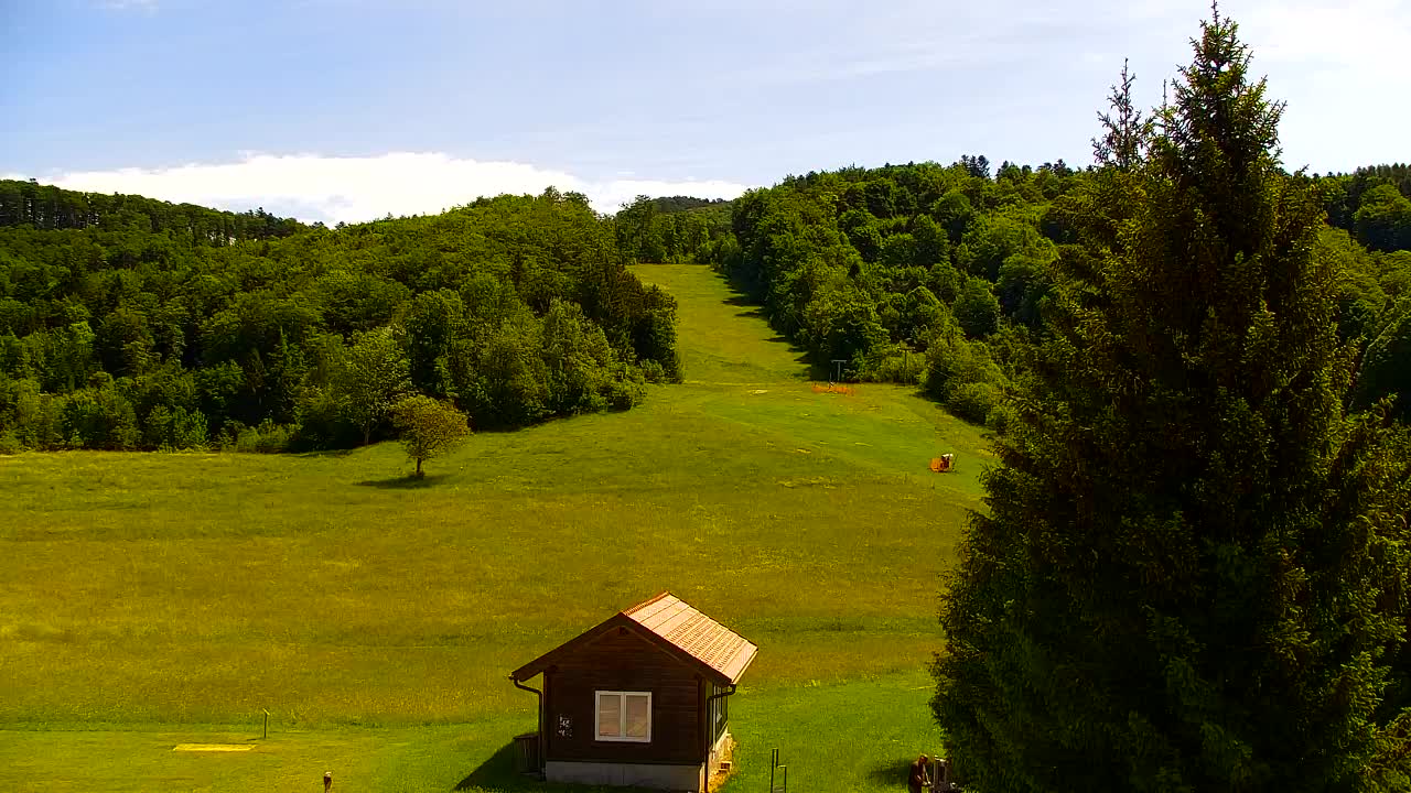 Webcam Lokve – Die Schönheit des Trnovo-Waldes