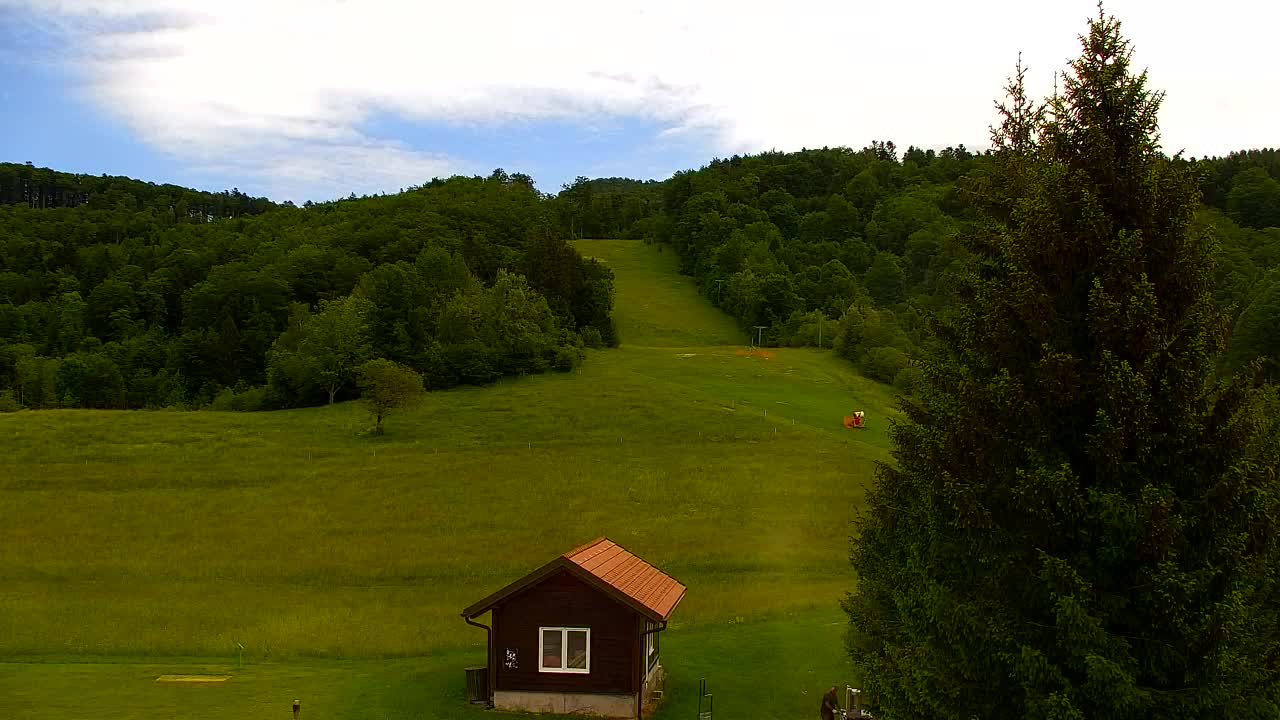 Camera en vivo Lokve – La belleza del bosque de Trnovo