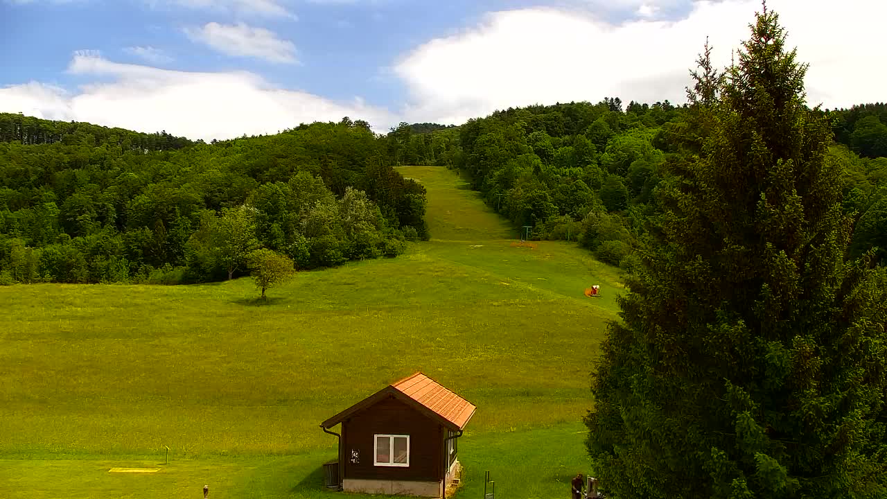 Camera en vivo Lokve – La belleza del bosque de Trnovo