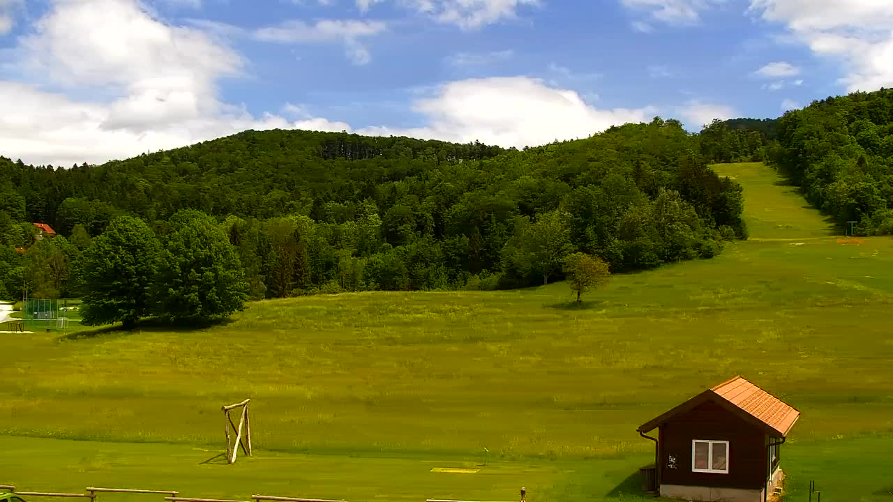 Webcam Loqua / Lokve – La bellezza della selva di Tarnova
