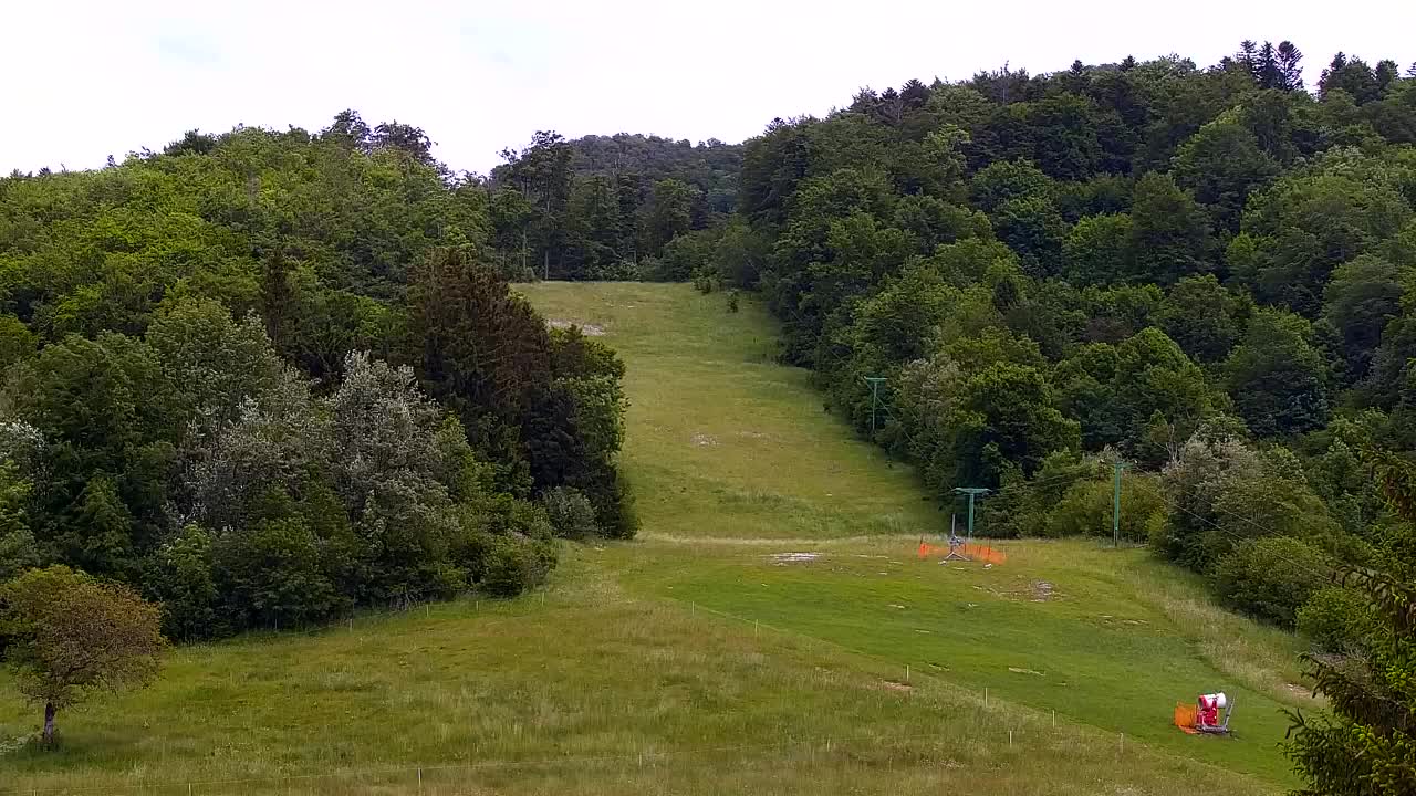 Webcam Lokve – La beauté de la forêt de Trnovo
