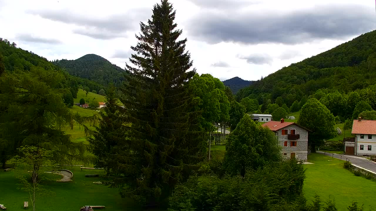Webcam Lokve – La beauté de la forêt de Trnovo