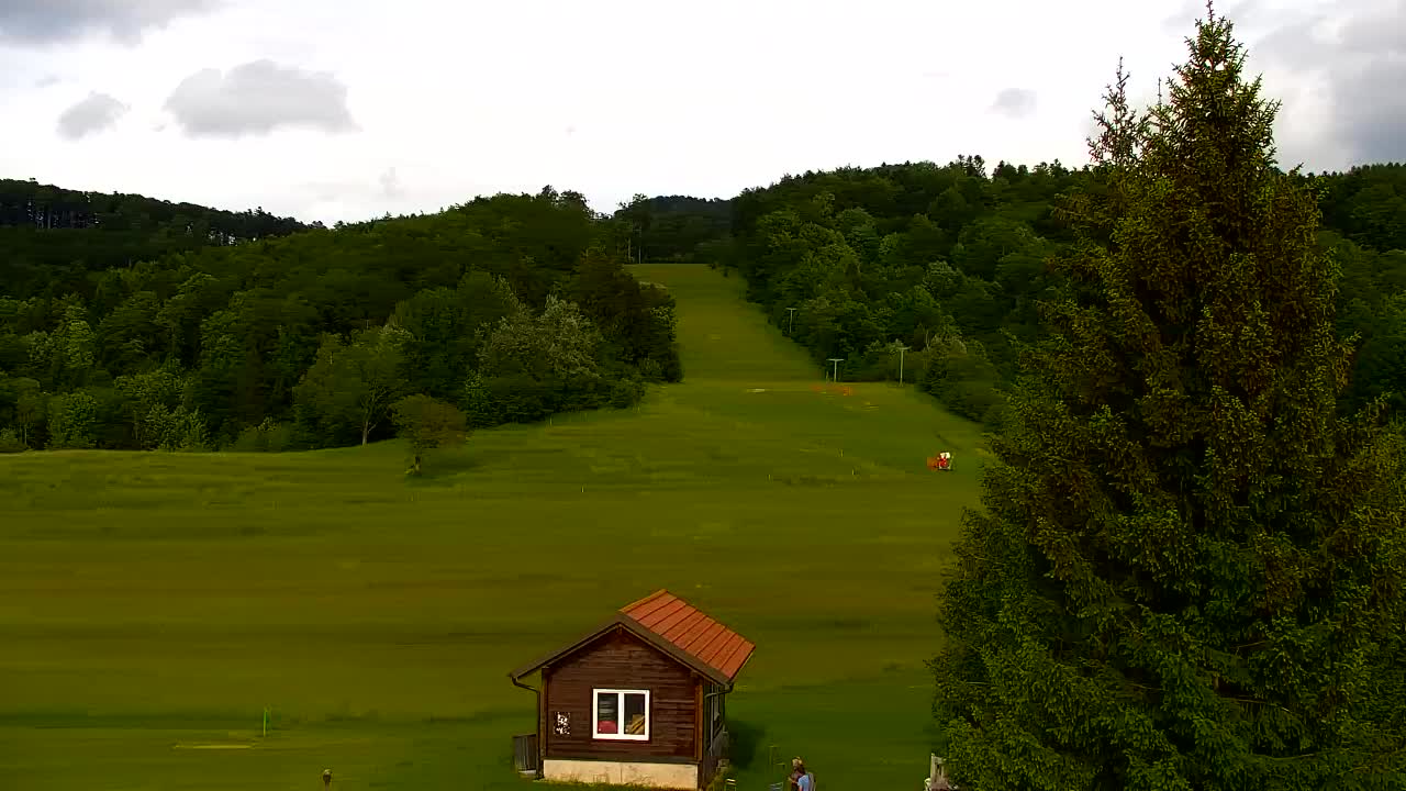 Webcam Loqua / Lokve – La bellezza della selva di Tarnova