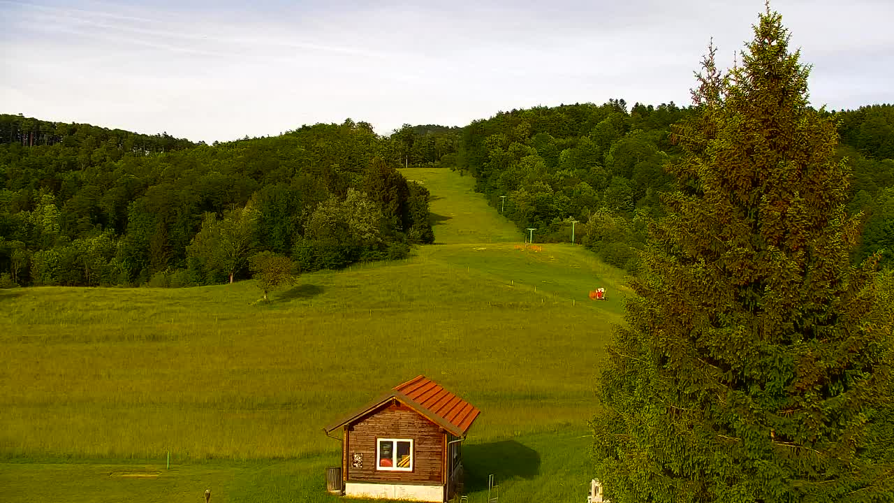 Webcam Lokve – The beauty of the Trnovo forest