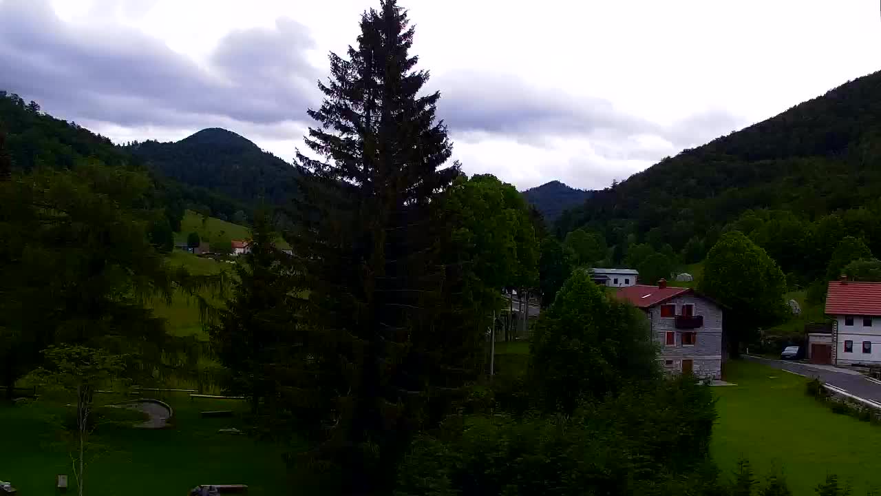 Webcam Lokve – The beauty of the Trnovo forest