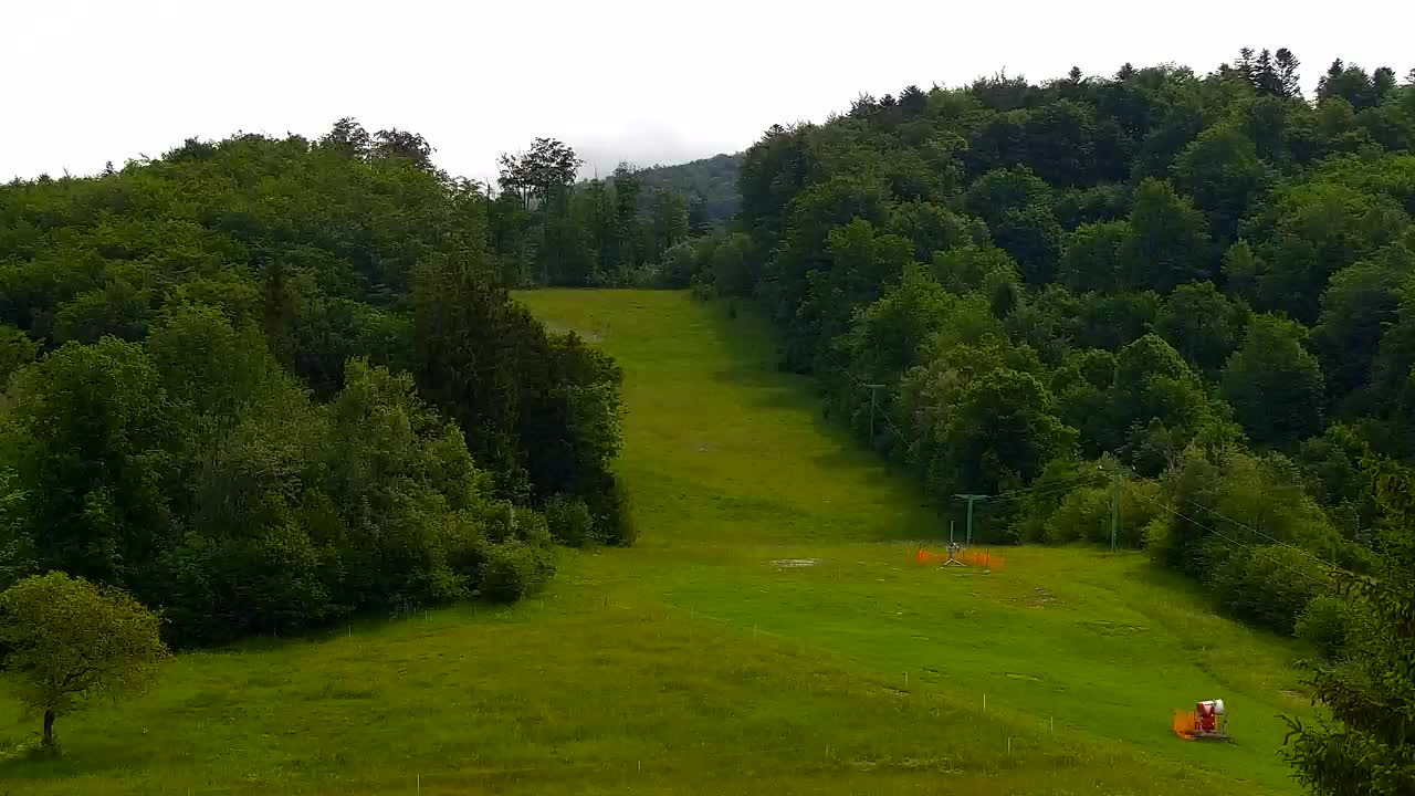 Webcam Lokve – La beauté de la forêt de Trnovo