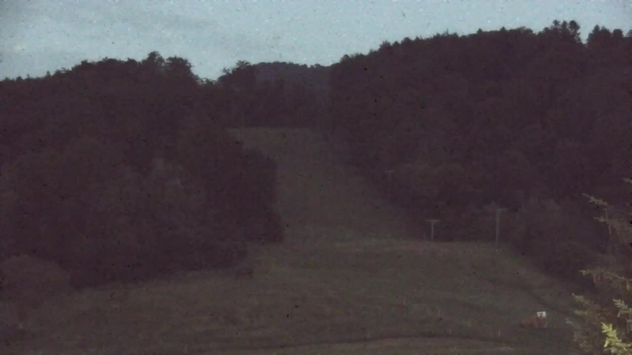 Webcam Lokve – Die Schönheit des Trnovo-Waldes