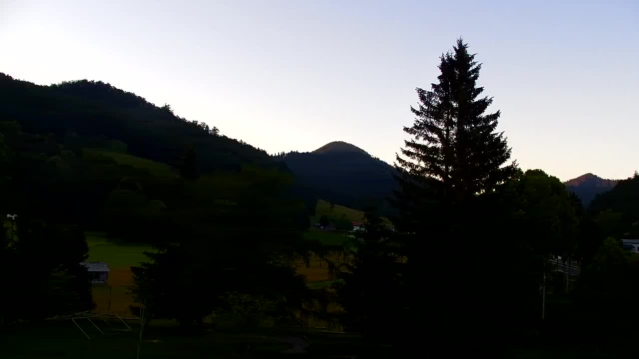 Webcam Loqua / Lokve – La bellezza della selva di Tarnova
