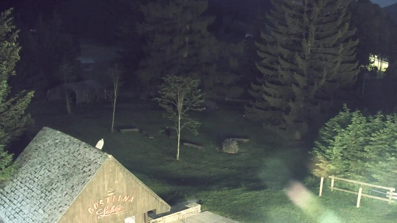 Webcam Lokve – The beauty of the Trnovo forest