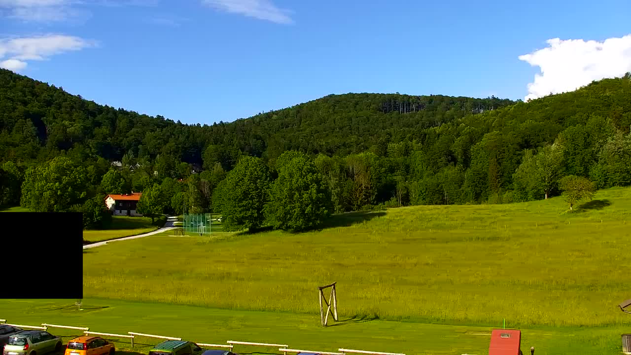 Webcam Loqua / Lokve – La bellezza della selva di Tarnova