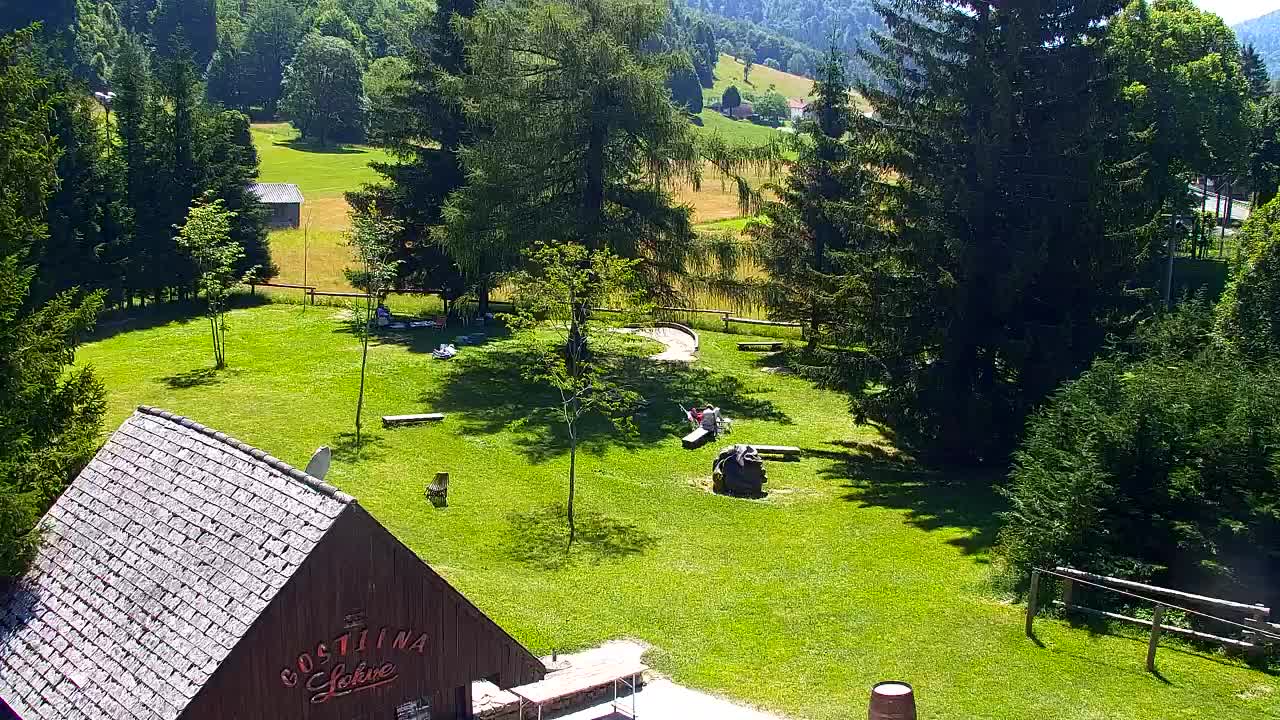 Web kamera Lokve – Ljepota Trnovske šume