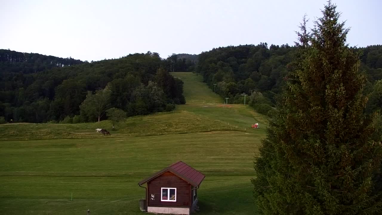 Webcam Lokve – The beauty of the Trnovo forest