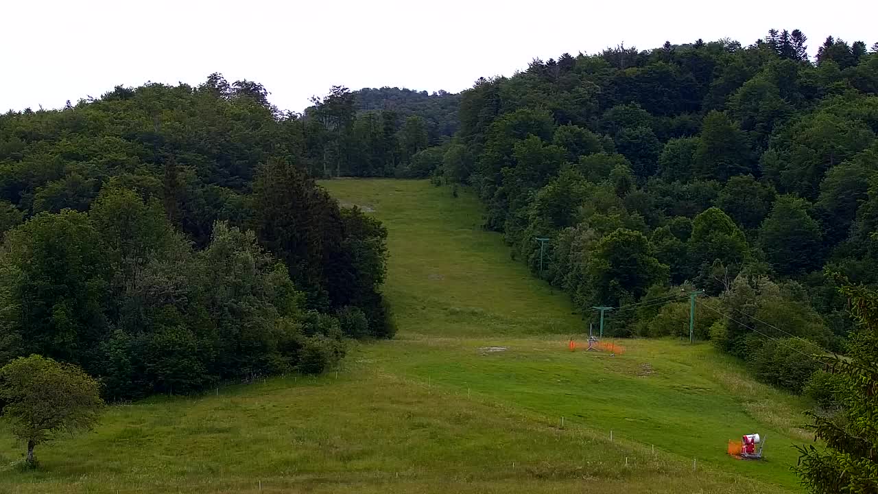 Webcam Loqua / Lokve – La bellezza della selva di Tarnova