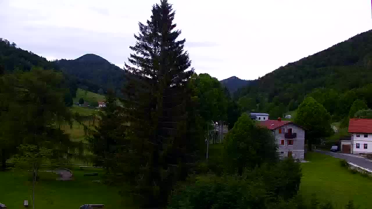 Webcam Lokve – La beauté de la forêt de Trnovo