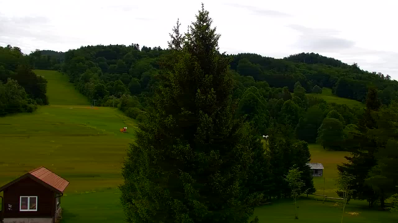 Webcam Lokve – Die Schönheit des Trnovo-Waldes