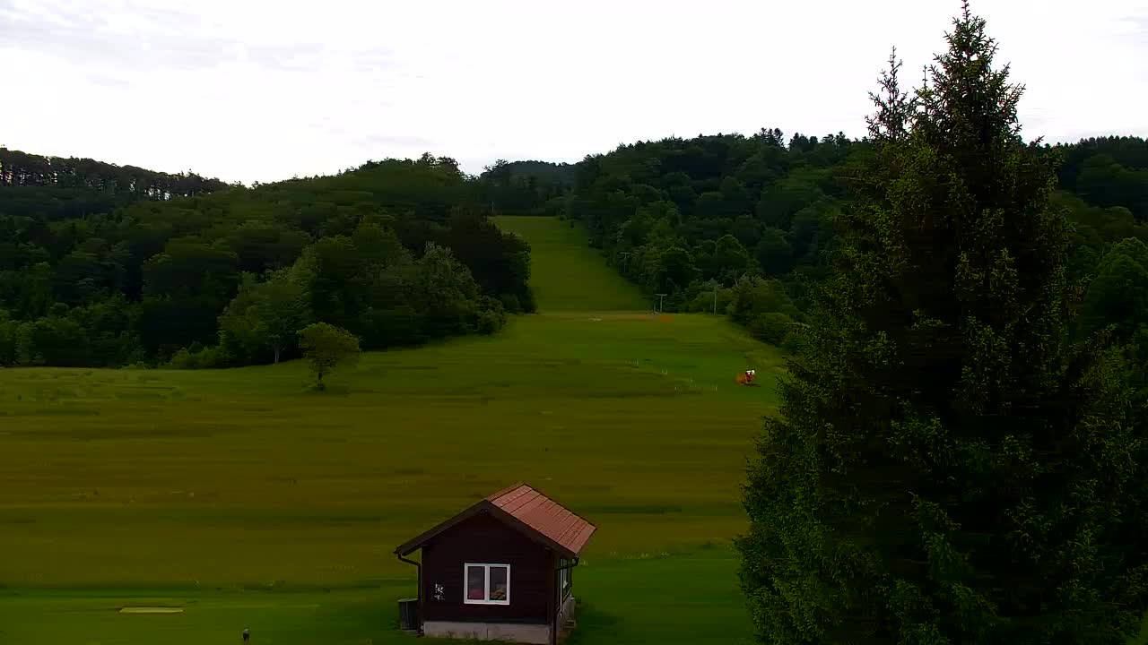 Webcam Loqua / Lokve – La bellezza della selva di Tarnova