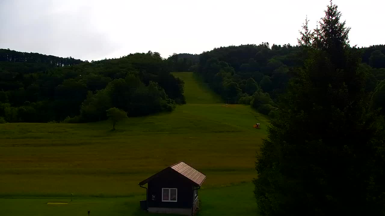 Webcam Loqua / Lokve – La bellezza della selva di Tarnova
