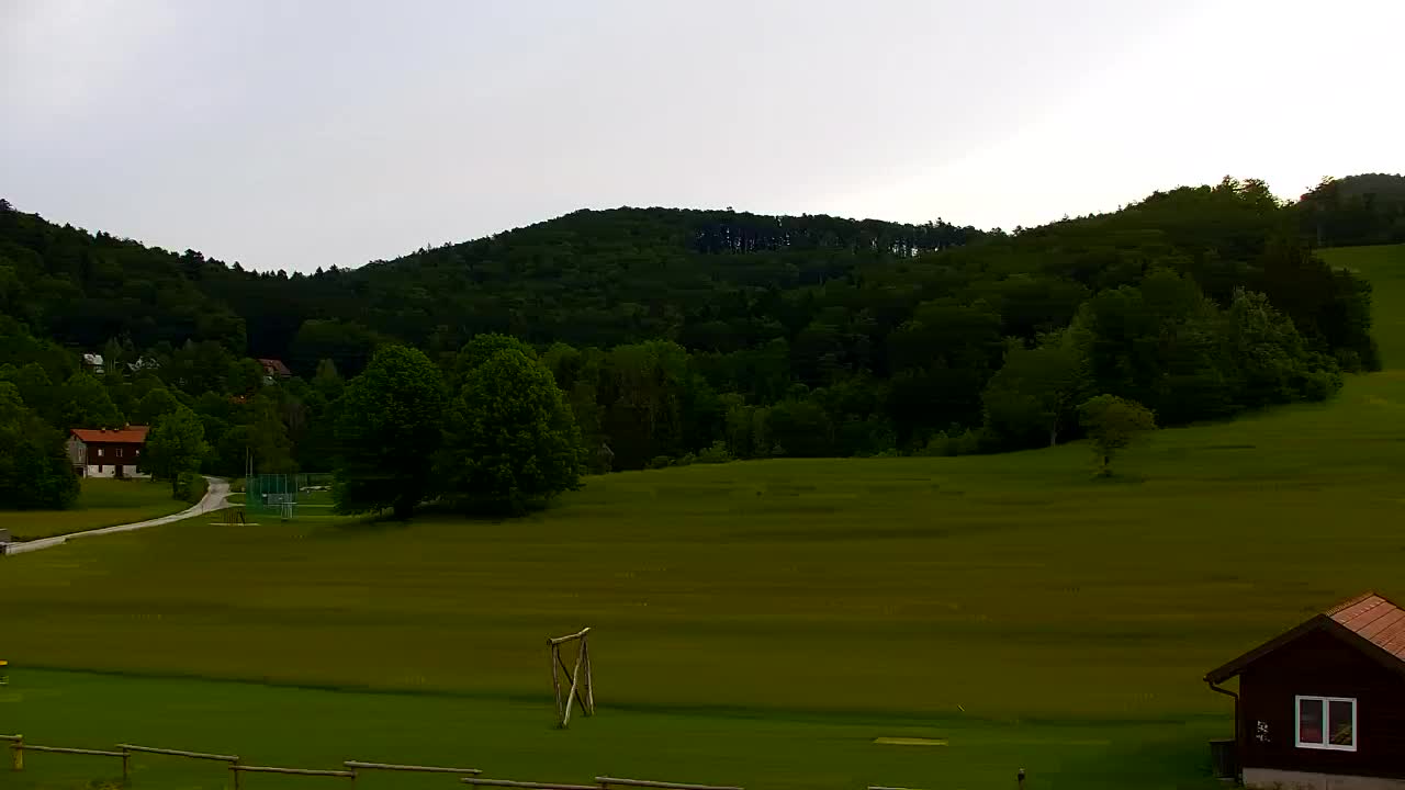 Webcam Loqua / Lokve – La bellezza della selva di Tarnova