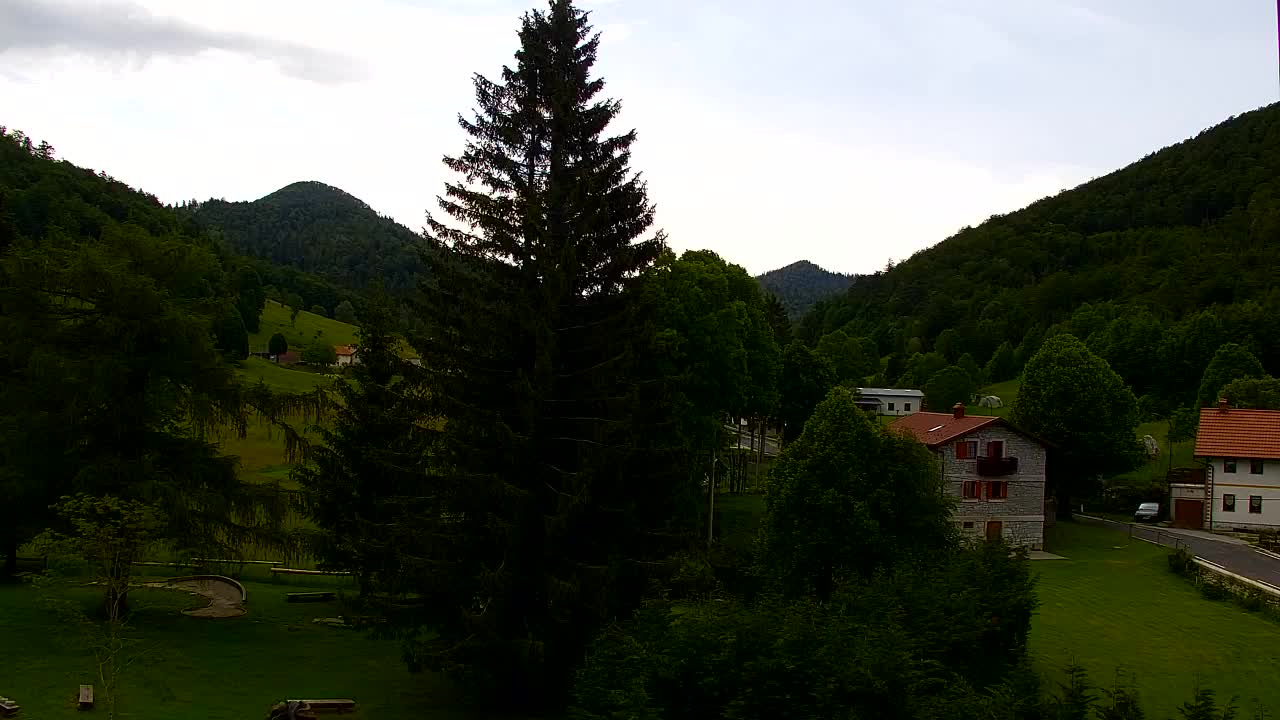 Webcam Loqua / Lokve – La bellezza della selva di Tarnova