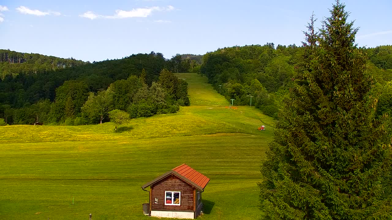 Webcam Lokve – The beauty of the Trnovo forest