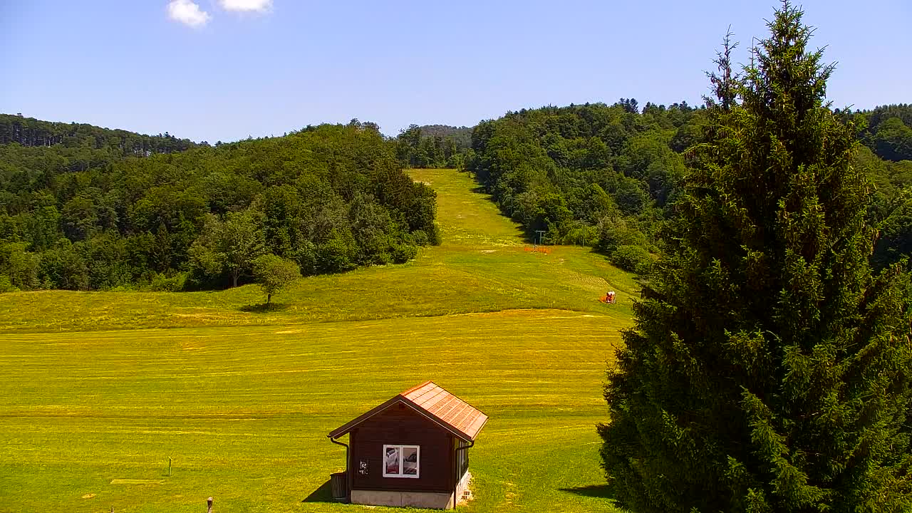Webcam Loqua / Lokve – La bellezza della selva di Tarnova