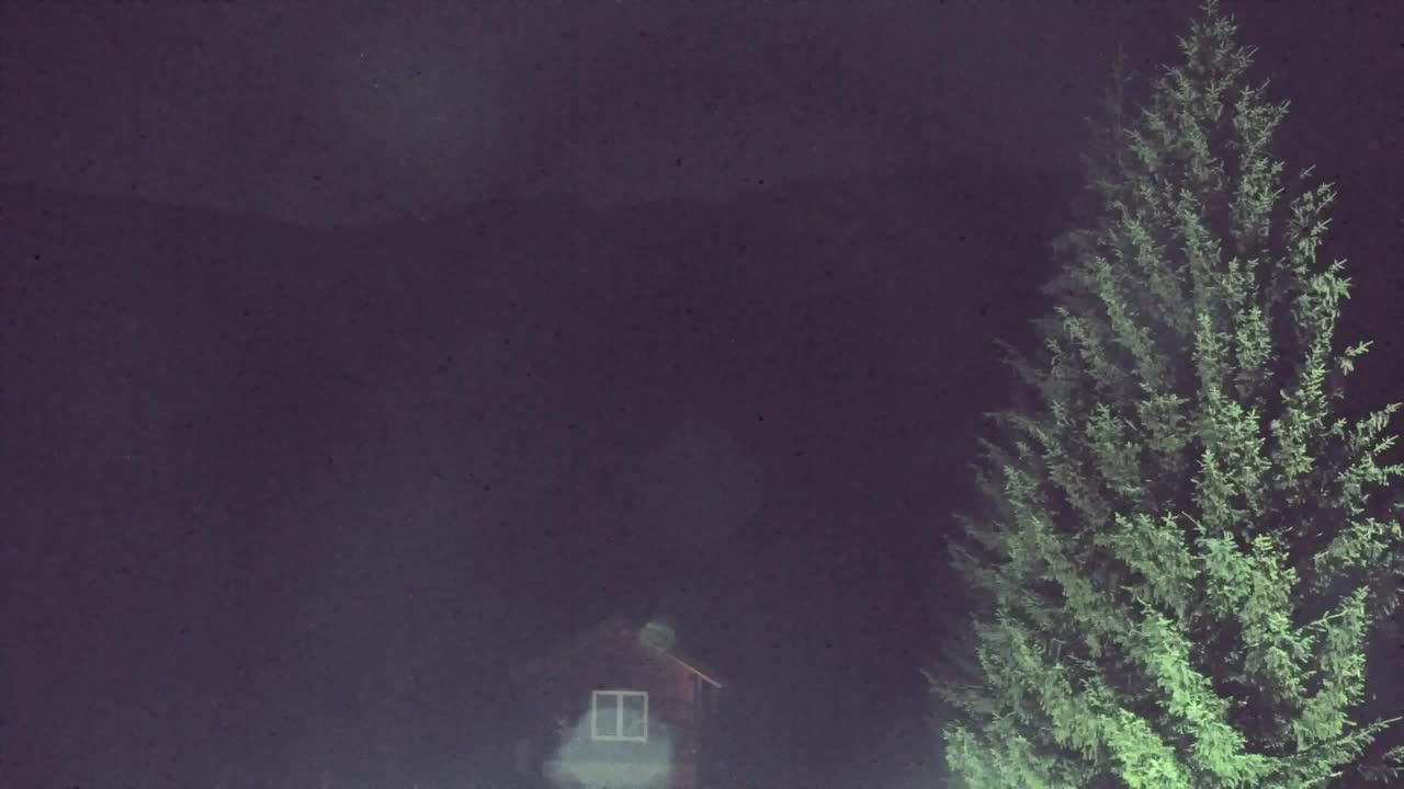 Webcam Lokve – Die Schönheit des Trnovo-Waldes