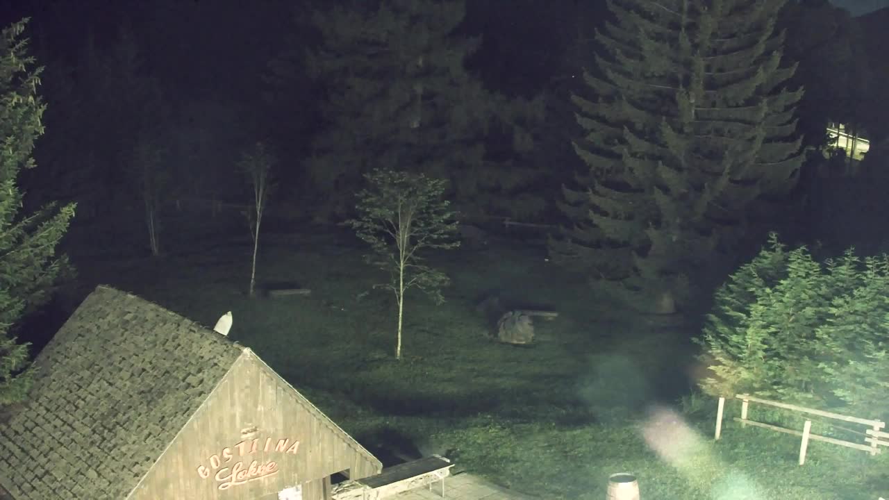 Webcam Lokve – The beauty of the Trnovo forest
