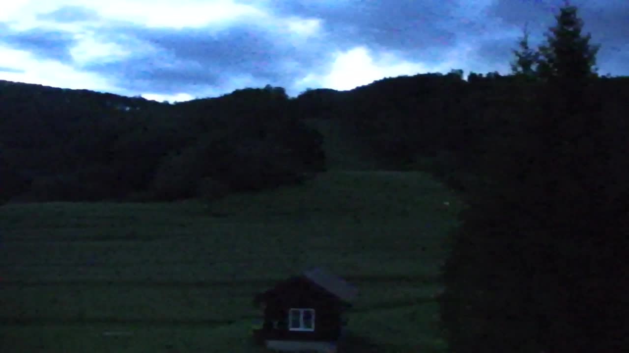 Webcam Loqua / Lokve – La bellezza della selva di Tarnova