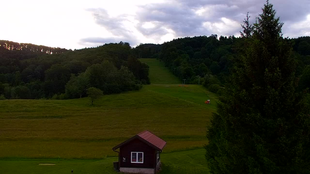 Webcam Loqua / Lokve – La bellezza della selva di Tarnova