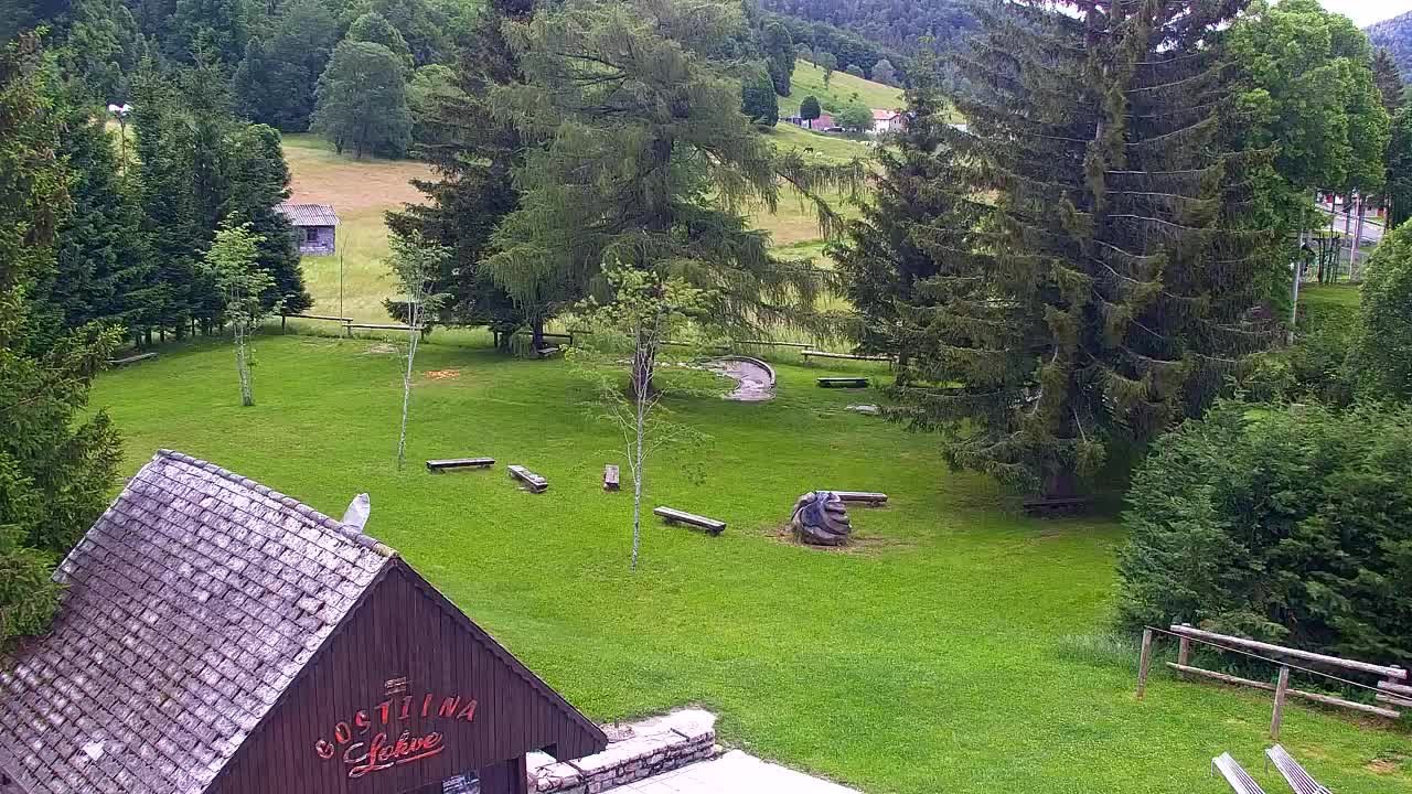 Webcam Lokve – La beauté de la forêt de Trnovo