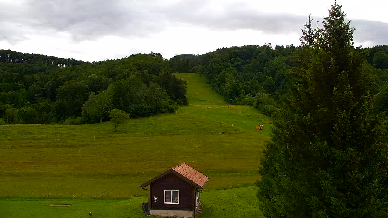 Webcam Lokve – The beauty of the Trnovo forest