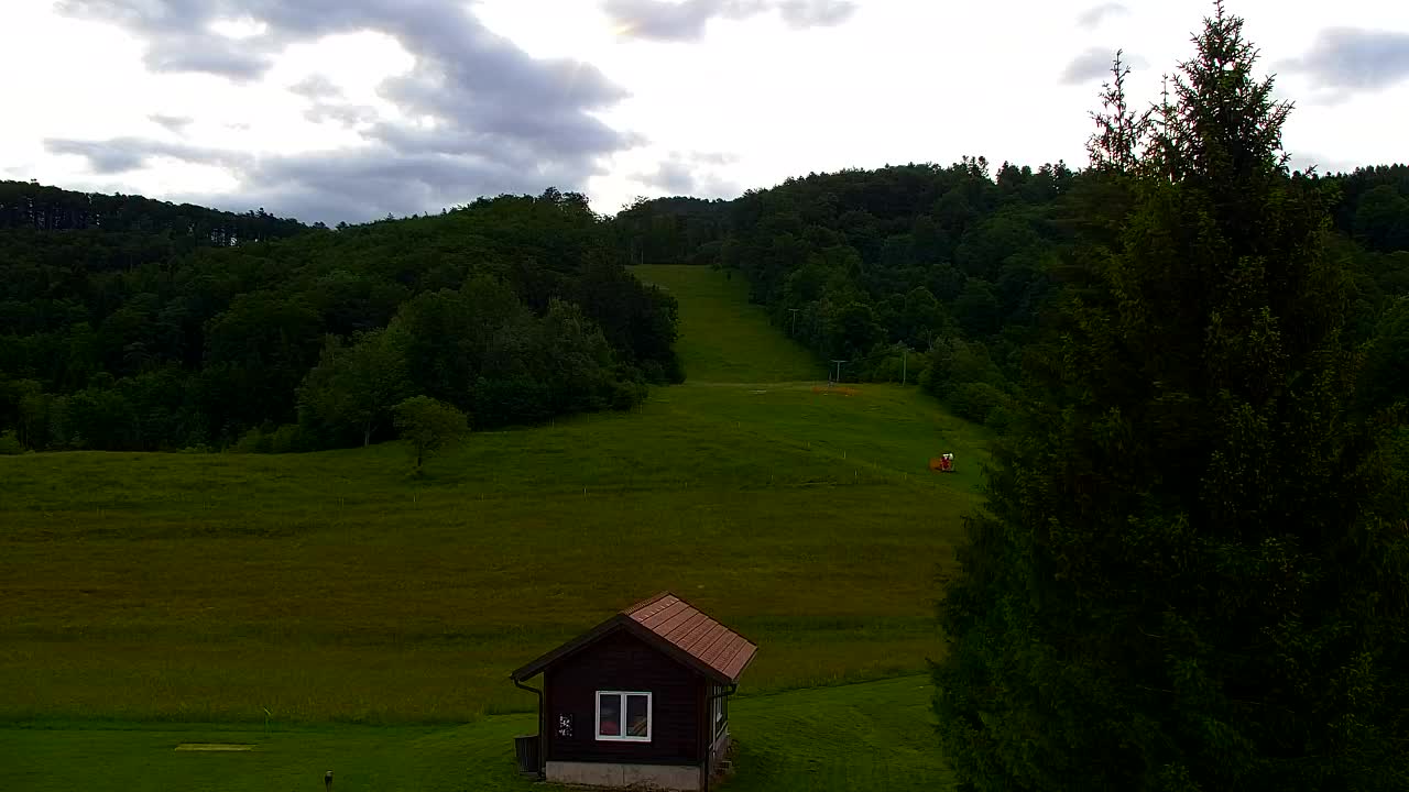 Webcam Loqua / Lokve – La bellezza della selva di Tarnova