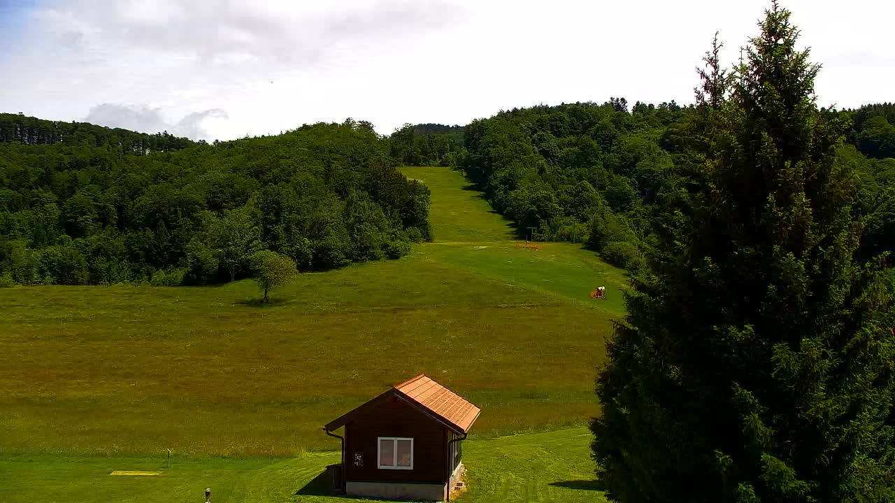 Camera en vivo Lokve – La belleza del bosque de Trnovo