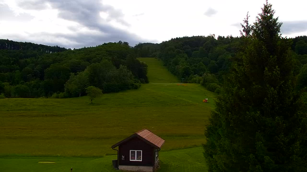 Webcam Lokve – The beauty of the Trnovo forest