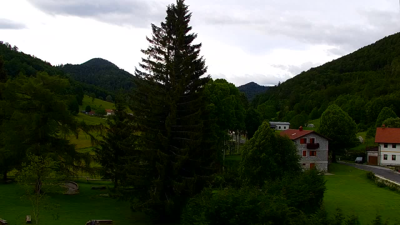 Webcam Lokve – La beauté de la forêt de Trnovo
