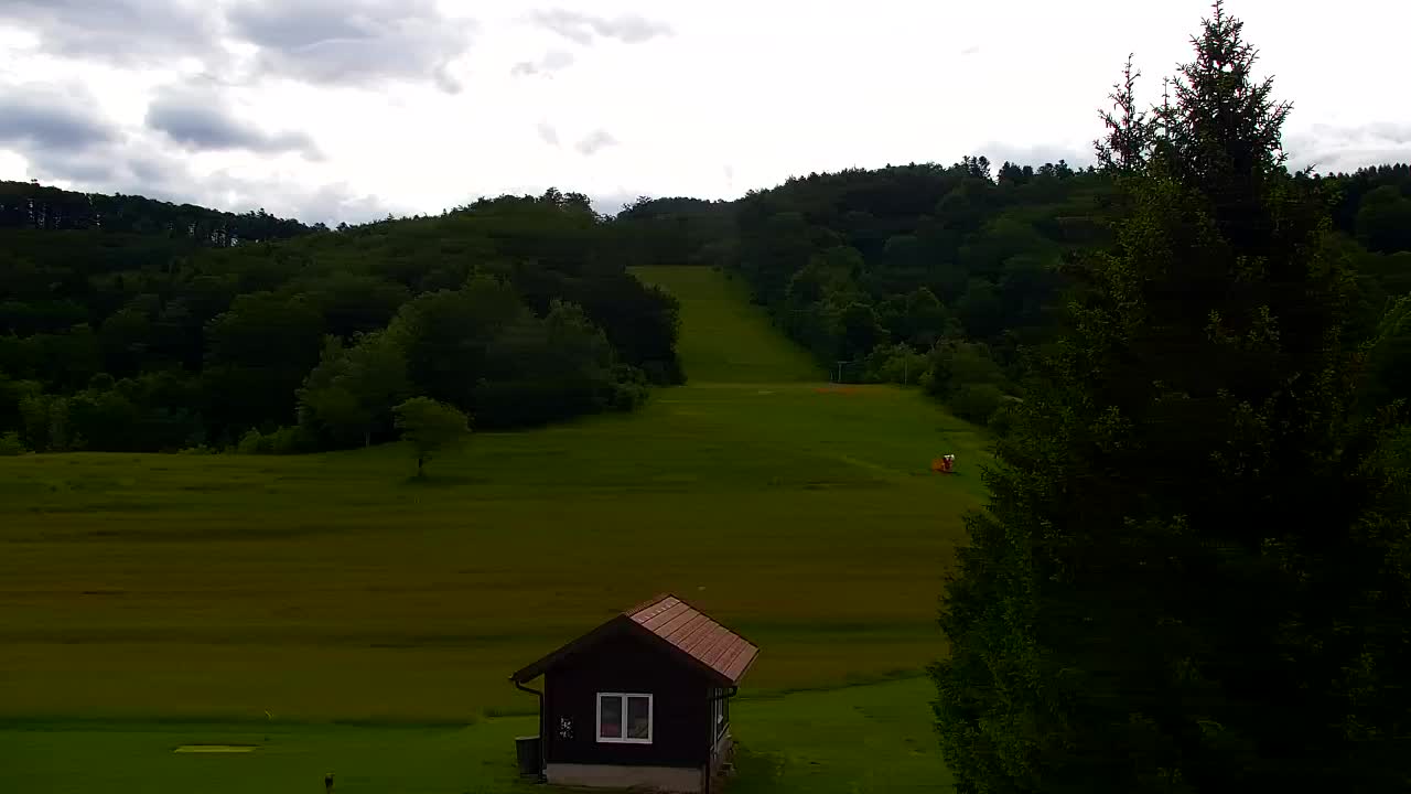 Webcam Lokve – The beauty of the Trnovo forest