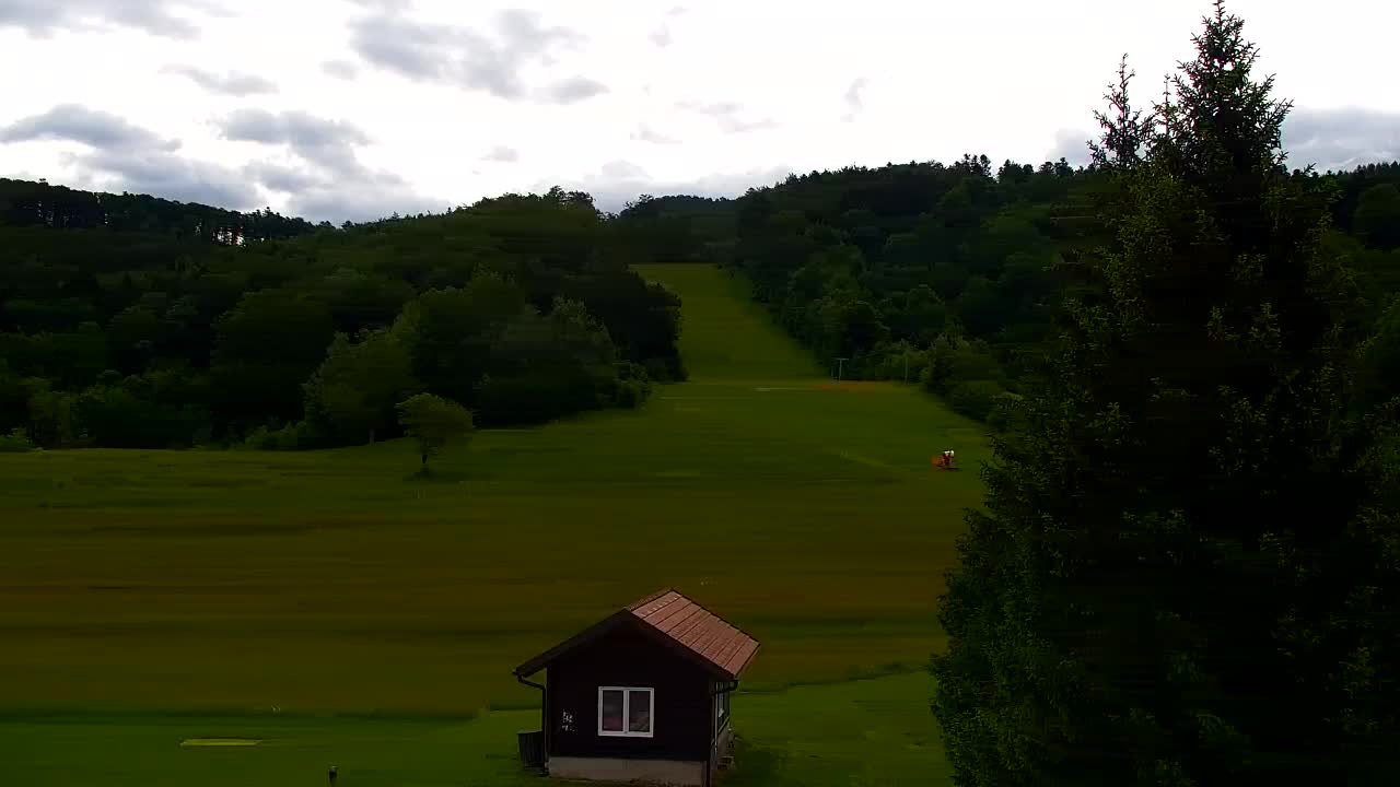 Webcam Lokve – La beauté de la forêt de Trnovo