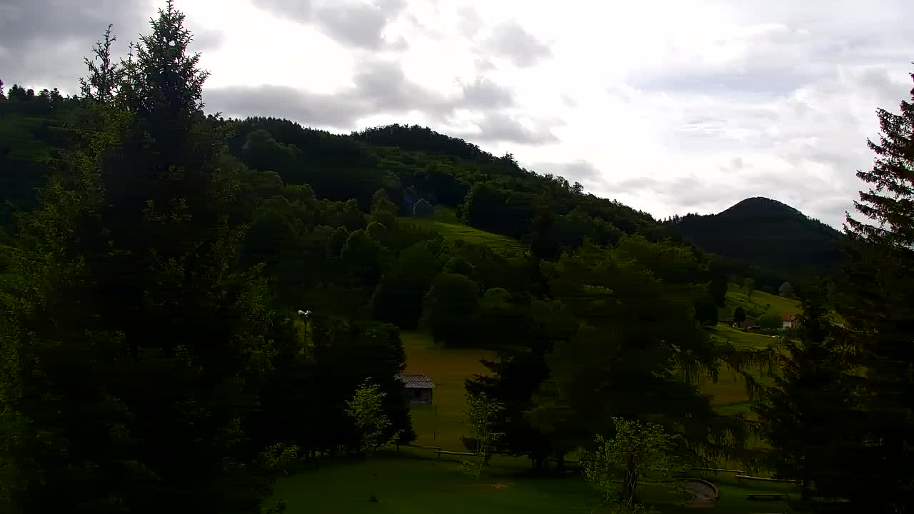 Webcam Lokve – The beauty of the Trnovo forest