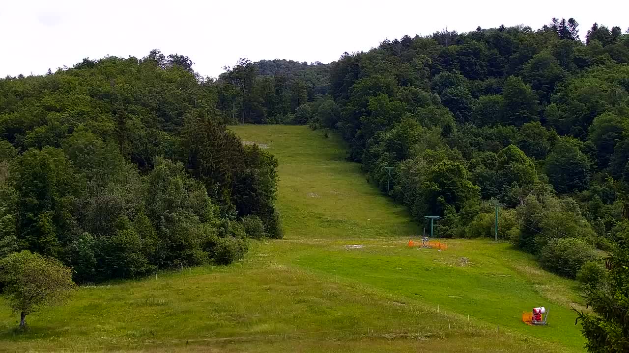 Webcam Lokve – La beauté de la forêt de Trnovo