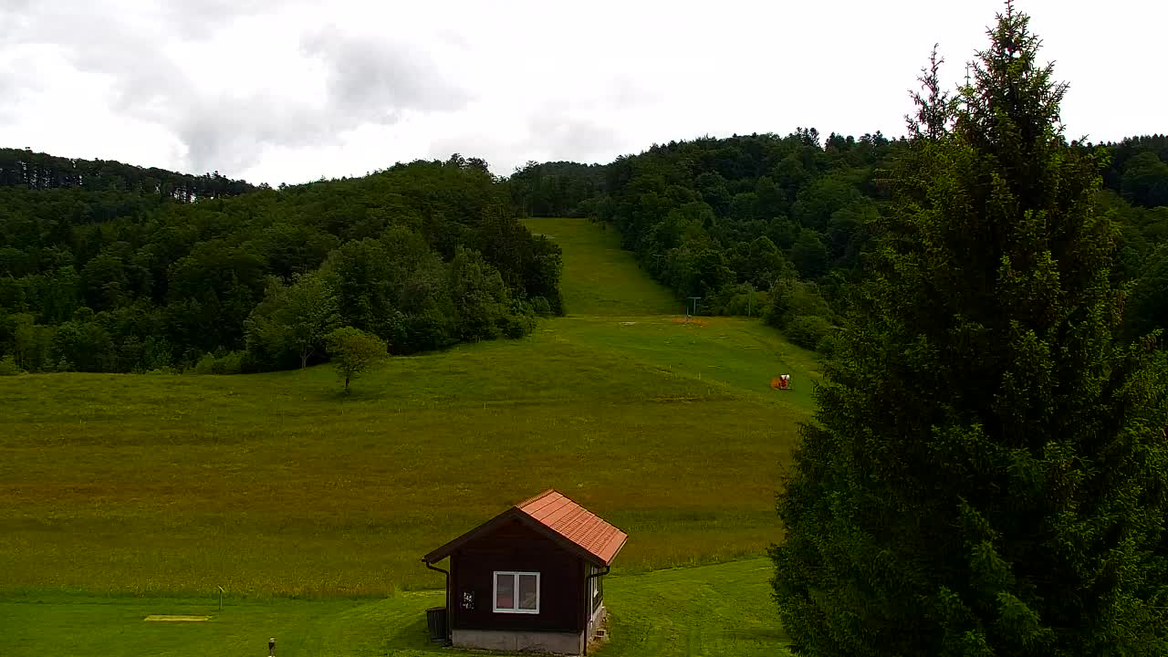 Webcam Loqua / Lokve – La bellezza della selva di Tarnova