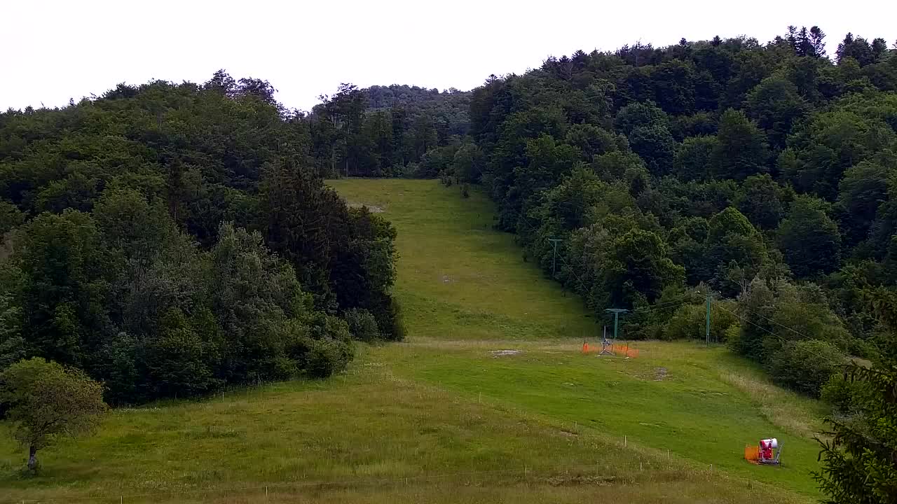 Webcam Loqua / Lokve – La bellezza della selva di Tarnova