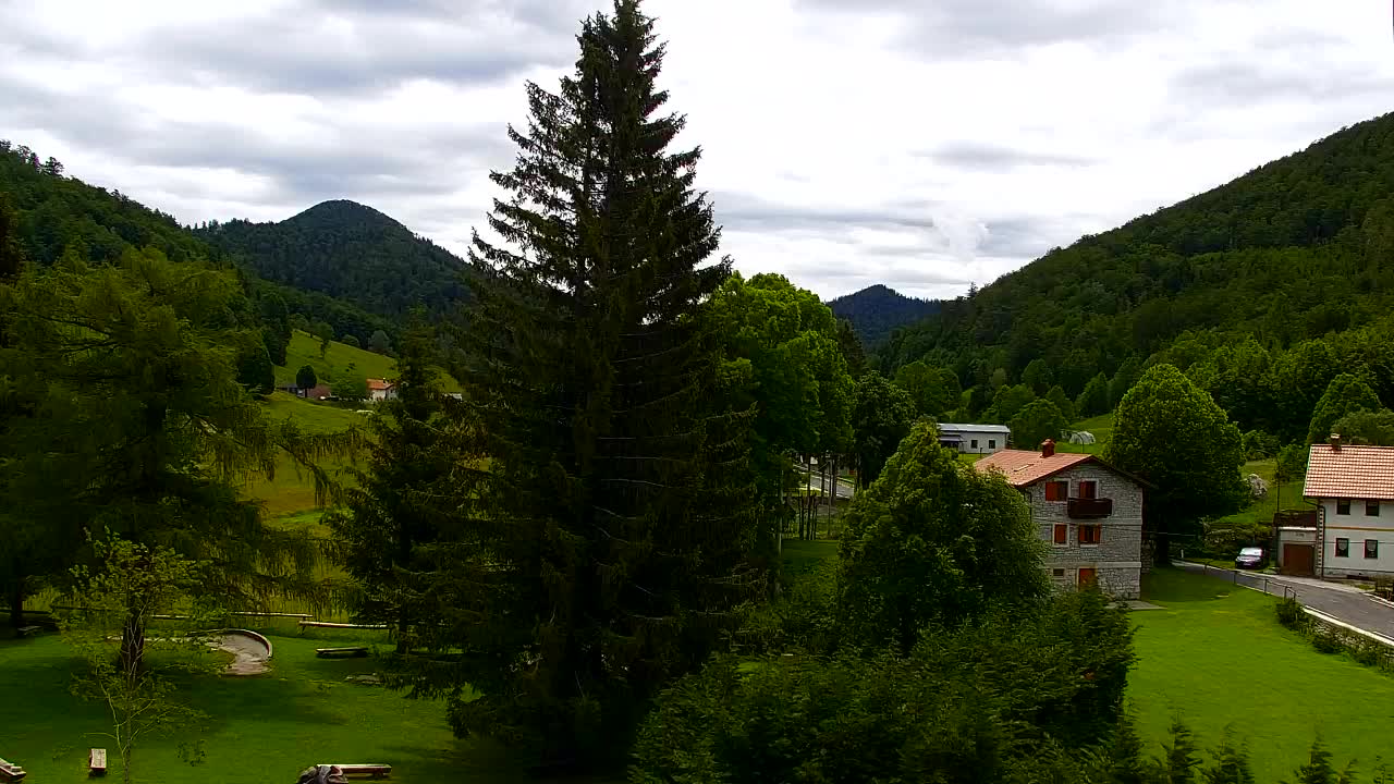 Webcam Lokve – La beauté de la forêt de Trnovo