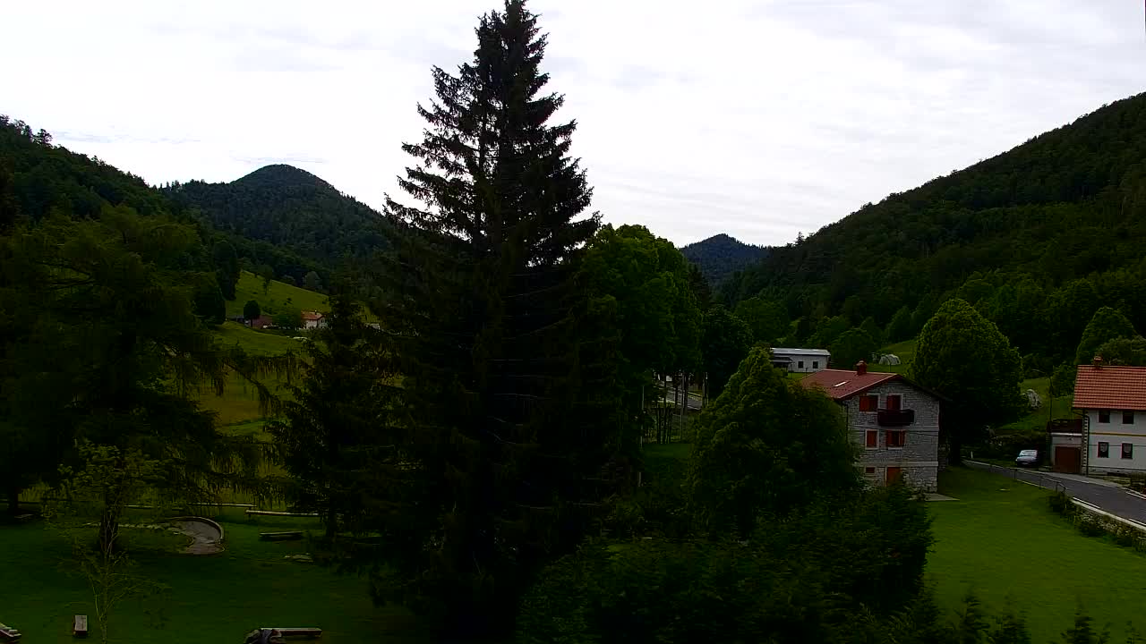 Webcam Lokve – La beauté de la forêt de Trnovo