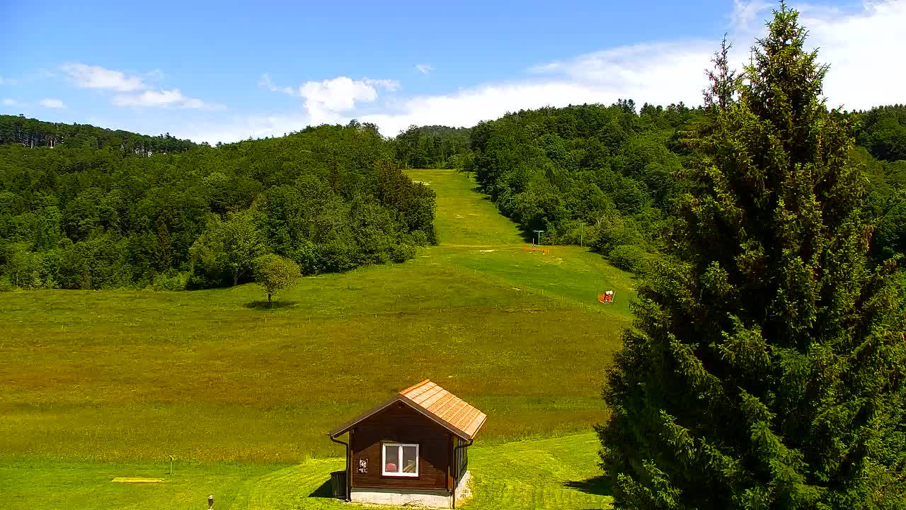 Webcam Lokve – Die Schönheit des Trnovo-Waldes
