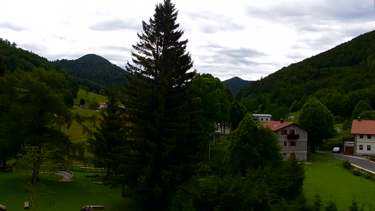 Webcam Loqua / Lokve – La bellezza della selva di Tarnova