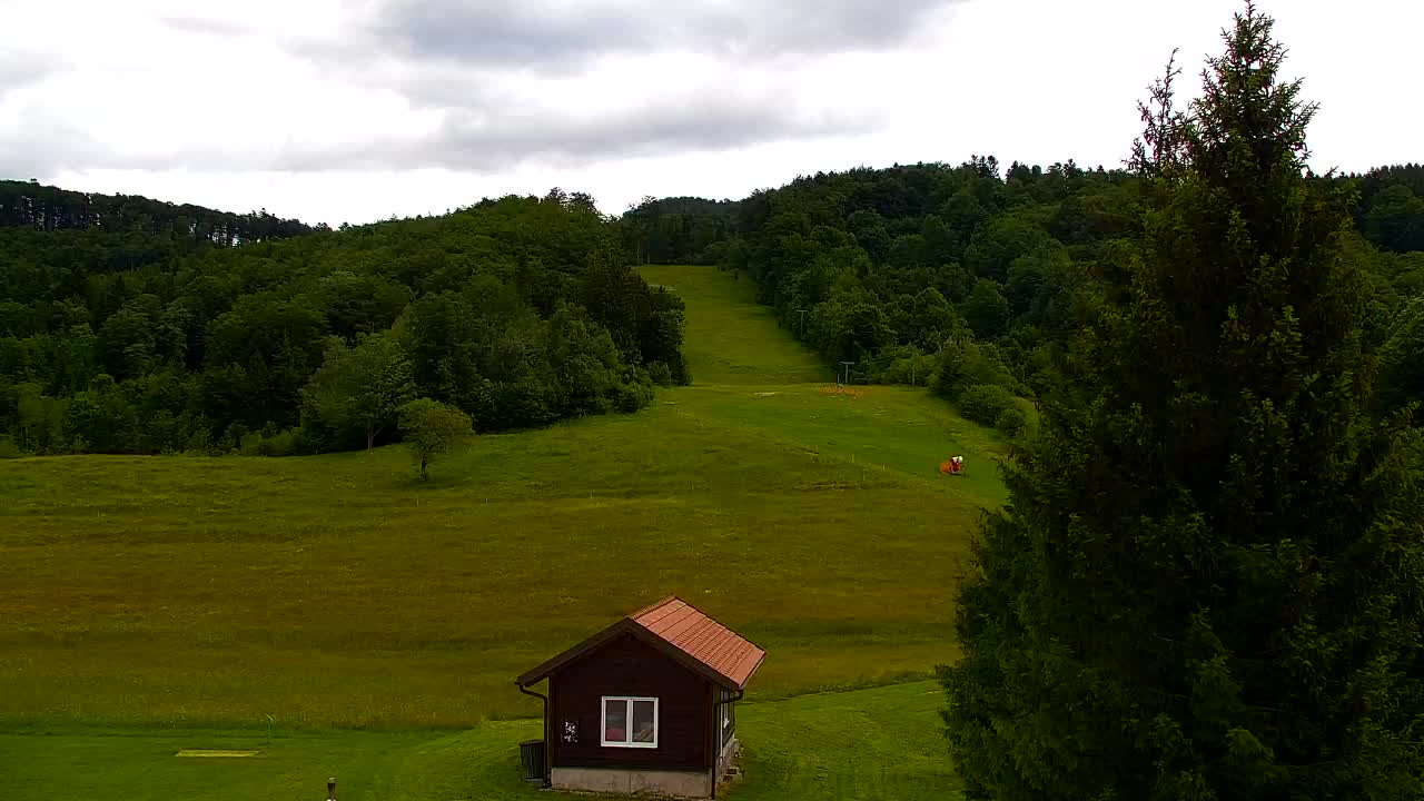 Webcam Loqua / Lokve – La bellezza della selva di Tarnova
