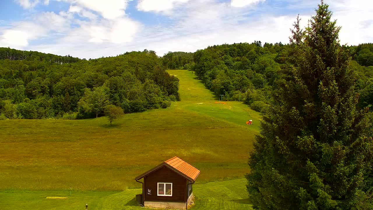 Webcam Lokve – The beauty of the Trnovo forest