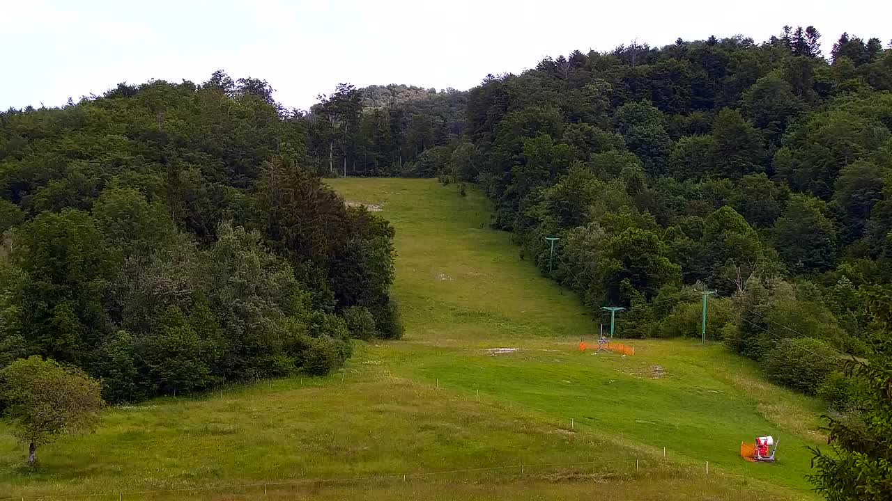 Webcam Loqua / Lokve – La bellezza della selva di Tarnova